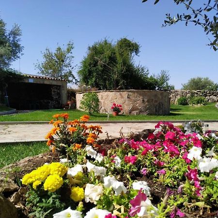El Lagar Del Abuelo En Los Arribes Del Duero, Badilla, Замора Екстериор снимка
